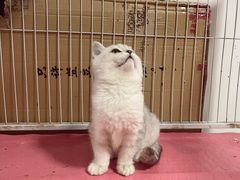 -宠颐生动物医院·小陆分院