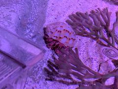 -沈阳海洋探索中心