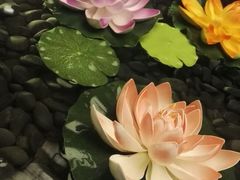 -汤泉良子(金源店)