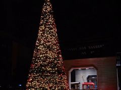 -上海崇明金茂凯悦酒店