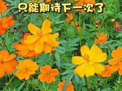 -海珠湖公园