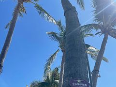 -亚龙湾海底世界