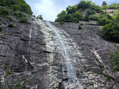 -朱雀国家森林公园