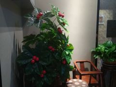 -津菜宋记老房子(鼓楼店)