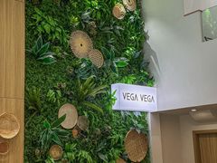 -VEGA VEGA 我行我素