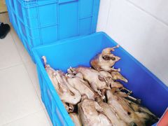 -正宗忘不了老鹅(梅岭店)