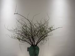 -奇乐全日制婴儿学校·早教