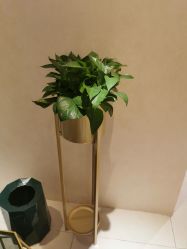 -薇兰专业脱毛连锁机构