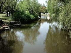 -上海滨江森林公园
