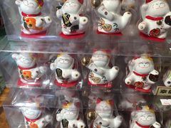 -猫咪博物馆(顶澳仔猫街店)