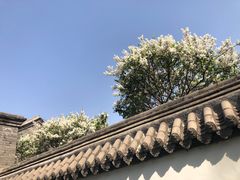 -保定直隶总督署博物馆