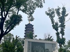 -葛仙湖公园