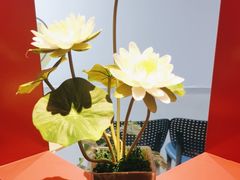 -肆月河豚·新淮扬菜·烤鸭(中关村店)