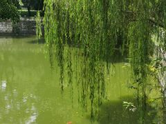-柳侯公园