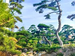 -罗红摄影艺术馆