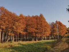-厦门园林博览苑