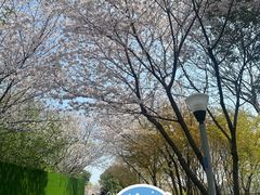 -尚贤河湿地