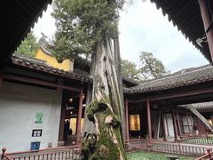 -太平天国侍王府