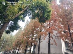 -成飞公园