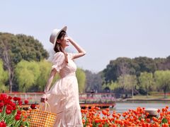 -上海鲜花港