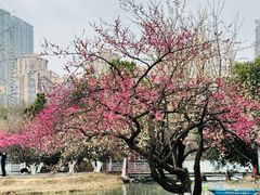 -天鹅湖体育公园