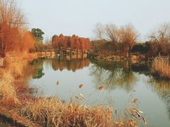 游乐设施-梁鸿国家湿地公园