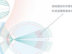 -宝岛眼镜·星创视光中心(金桥店)