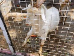 -金庭庄园酒店-停车场