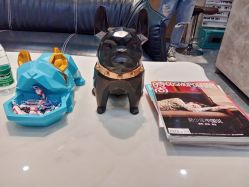 -IN STYLE·全国形象店