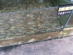 -四海鲜渔家菜(黄金海岸店)