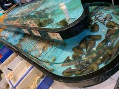 -万山楼海鲜酒家·二十三年老字号