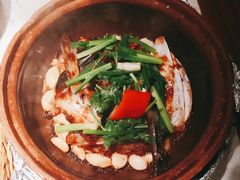 -大榕树下顺德菜(融创茂店)