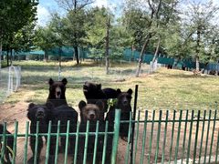 -秦皇岛野生动物园