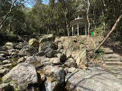 -北仑森林植物园