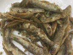 -全乐鱼馆·淳牌有机鱼直营店