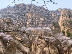-北京凤凰岭