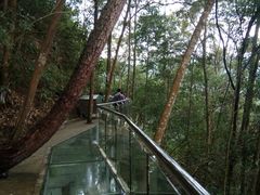 -九龙江国家森林公园