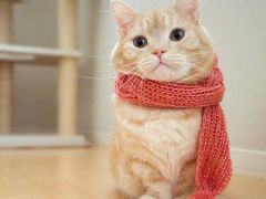 -关二哥烧烤(王家湾店)