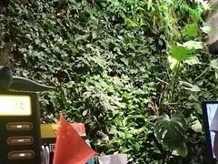 -外婆家(杭州马塍店·杭帮菜名店)