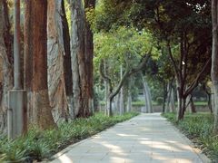-华侨大学(厦门校区)