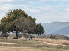 -良渚古城遗址公园