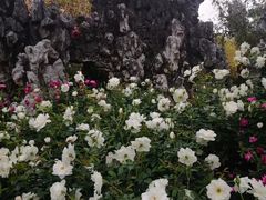 -人民公园(罗湖区)