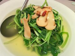 -森隆饭庄(崇文门新世界百货店)