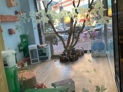 -牛喵喵铜锅牛肉馆