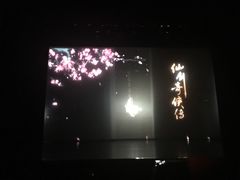 -合肥大剧院