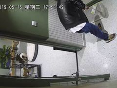 -電力宠物公司(武定路店)