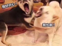 -京城小江南·北京烤鸭·江南土菜·白鱼(中关村店)