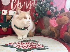 -宠颐生汉谟拉比宠物医院