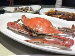 -高佳庄·海鲜酒楼(东港店)