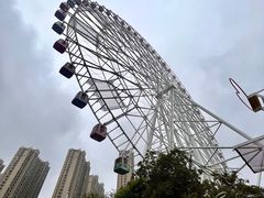 -弘阳·未来世界(弘阳广场店)